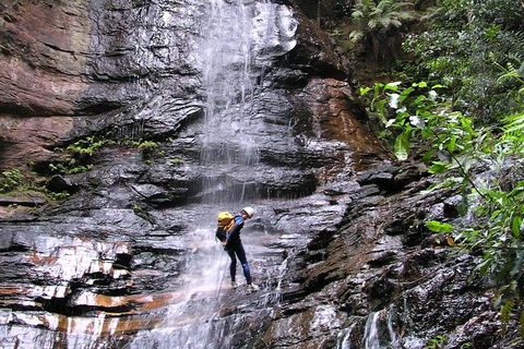 Full-Day Canyoning Experience At Stunning Empress Canyon - Attractions Brisbane 0