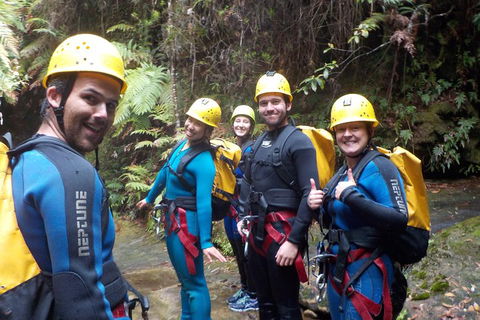 Full-Day Canyoning Experience At Stunning Empress Canyon - Attractions Brisbane 1