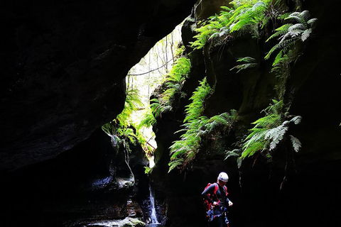 Full-Day Canyoning Experience At Stunning Empress Canyon - Attractions Brisbane 2