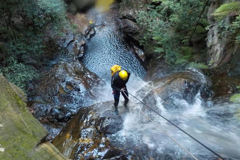 Full-Day Canyoning Experience At Stunning Empress Canyon - Attractions Brisbane 4