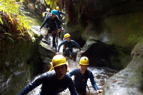 Full-Day Canyoning Experience At Stunning Empress Canyon - Attractions Brisbane 5