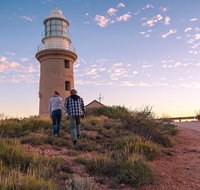 6-Day Coral Coaster from Perth to Exmouth One-Way via Monkey Mia Ningaloo Reef - Attractions Brisbane