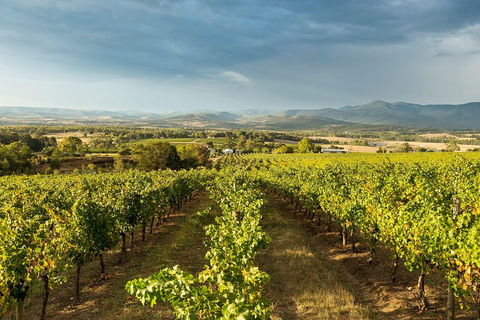 Yarra Valley Local Produce And Wine Tasting Tour - Attractions Brisbane 3