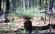 Small-Group Grampians Great Wilderness Escape Day Trip With Hiking - thumb 2