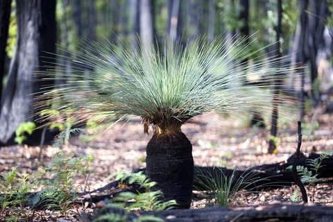 Small-Group Grampians Great Wilderness Escape Day Trip With Hiking - Attractions Brisbane 2