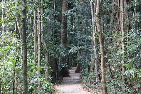 Eumundi Markets And Sunshine Coast Day Trip From Brisbane - Attractions Brisbane 4