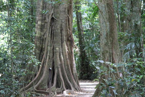 Noosa And Sunshine Coast Hinterland Day Trip From Brisbane - Attractions Brisbane 3