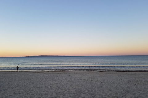 Noosa And Sunshine Coast Hinterland Day Trip From Brisbane - Attractions Brisbane 5