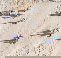 Unlimited Sandboarding - Attractions Brisbane