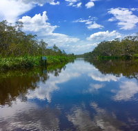 Noosa Everglades Serenity Cruise  Highlights Tour Inc. Lunch  Cruise - Attractions Brisbane