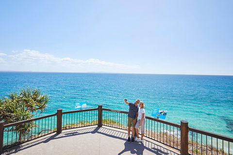 Noosa Everglades Serenity Cruise & Highlights Tour Inc. Lunch & Cruise - Attractions Brisbane 3