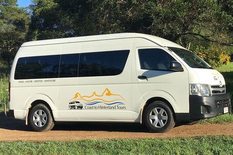 Noosa Everglades Serenity Cruise & Highlights Tour Inc. Lunch & Cruise - Attractions Brisbane 5