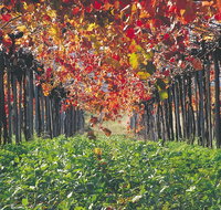 Margaret River Private Tour - Attractions Brisbane