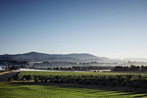 Chauffeur Driven Yarra Valley Group Wine Tour - Up To 7 - Attractions Brisbane 2