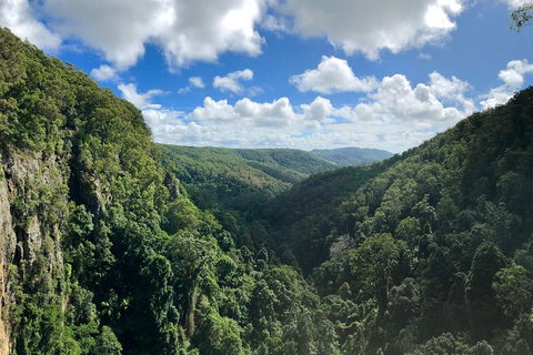 Springbrook Full Day Tour - Attractions Brisbane 1