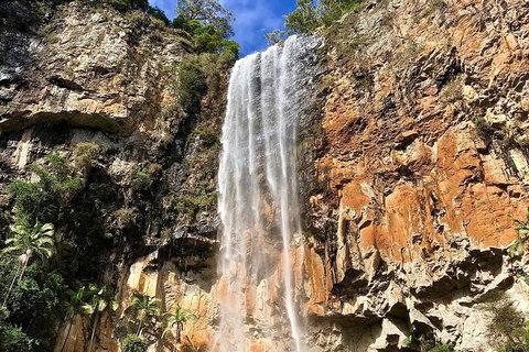 Springbrook Full Day Tour - Attractions Brisbane 2