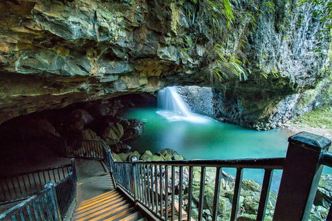 Springbrook Full Day Tour - Attractions Brisbane 4