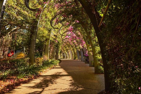 Brisbane Scavenger Hunt: Brisbane's South Bank! - Attractions Brisbane 3