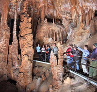 Private Tour Jenolan Caves  Blue Mountains in a day - Attractions Brisbane