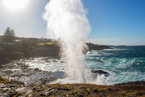 Private Tour: Sydney South Coast & Highlands - Attractions Brisbane 2