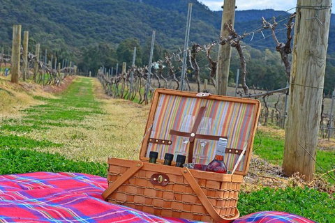 Private Hunter Valley And Gardens Day Trip From Sydney - Attractions Brisbane 2