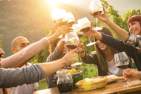 Yarra Valley, Dandenong Ranges Inc. Lunch With Wine,plus Morning Tea,chocolate - Attractions Brisbane 4