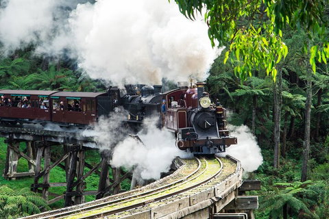 Puffing Billy And Healesville Sanctuary Scenic Tour - Attractions Brisbane 1