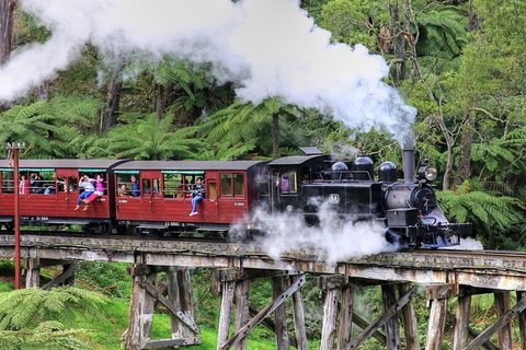 Puffing Billy And Healesville Sanctuary Scenic Tour - Attractions Brisbane 2
