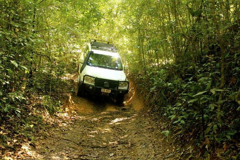 Barron Gorge And Kuranda National Park Half Day Rainforest And Waterfall 4WD Tour From Cairns - Attractions Brisbane 2