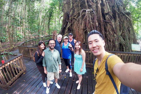 Barron Gorge And Kuranda National Park Half Day Rainforest And Waterfall 4WD Tour From Cairns - Attractions Brisbane 5