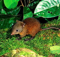 3-Day Small-Group Tour of North Queensland with Pick Up - Attractions Brisbane
