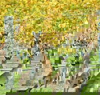 Margaret River Indulge and Discover Day Tour - Attractions Brisbane