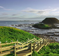 Full-Day Private Australian Wildlife Tour of Phillip Island - Attractions Brisbane