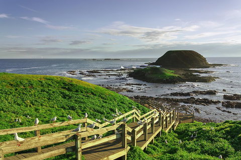 Full-Day Private Australian Wildlife Tour Of Phillip Island - Attractions Brisbane 0