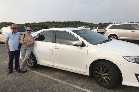 Full-Day Private Australian Wildlife Tour Of Phillip Island - Attractions Brisbane 1