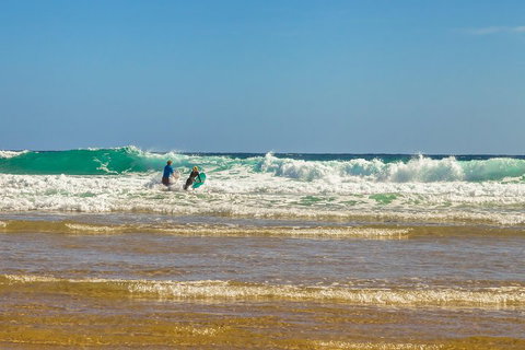 Full-Day Private Australian Wildlife Tour Of Phillip Island - Attractions Brisbane 3