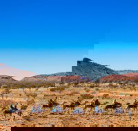 Alice Springs Camel Tour - Attractions Brisbane
