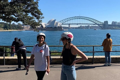 The Sydney Express - Attractions Brisbane 1