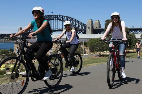 The Sydney Express - Attractions Brisbane 3