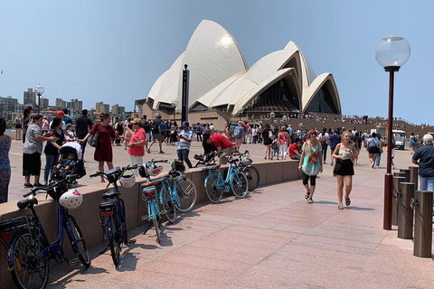 The Sydney Express - Attractions Brisbane 4