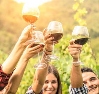 Adelaide Hills Day Tour. Winery Cellar Doors - Attractions Brisbane
