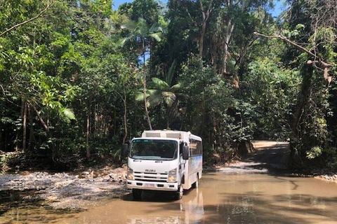 Cairns To Cooktown 4WD Tour - Attractions Brisbane 5