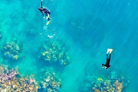 Fly & Cruise - Seaplane Package - Attractions Brisbane 1