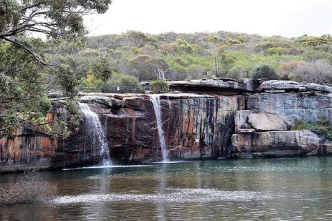 Royal National Park Tour - Attractions Brisbane 1