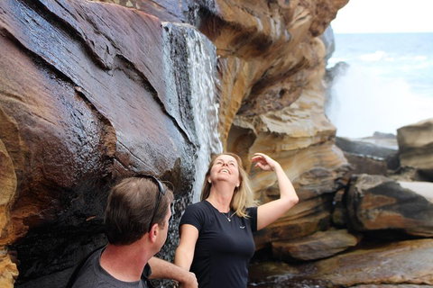 Royal National Park Tour - Attractions Brisbane 4