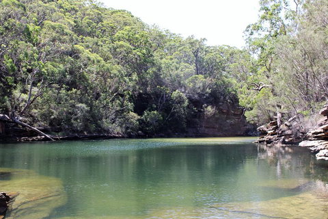 Royal National Park Tour - Attractions Brisbane 5