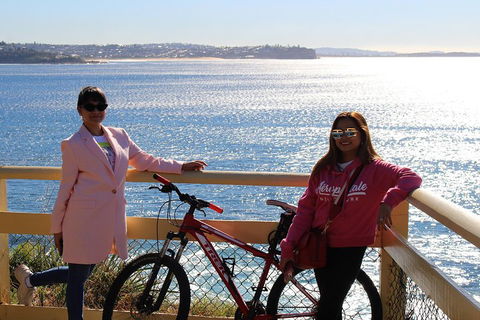 Half Day Manly Beach And More - Attractions Brisbane 4