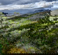 3-Day Tour to the Falls Mountains Lake  More of West Coast Tasmania - Attractions Brisbane