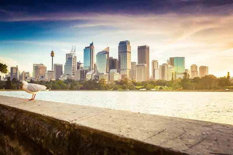 Private Sydney City And Bondi Beach Half Day Tour - Attractions Brisbane 2