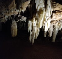 The Pinnacle Adventure Tour - Attractions Brisbane